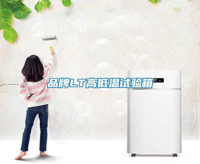 品牌LT高低溫試驗(yàn)箱