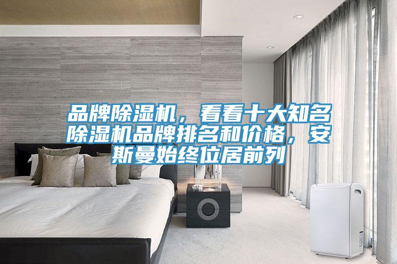 品牌除濕機(jī)，看看十大知名除濕機(jī)品牌排名和價(jià)格，安斯曼始終位居前列