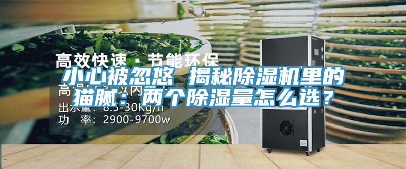 小心被忽悠 揭秘除濕機(jī)里的貓膩：兩個(gè)除濕量怎么選？