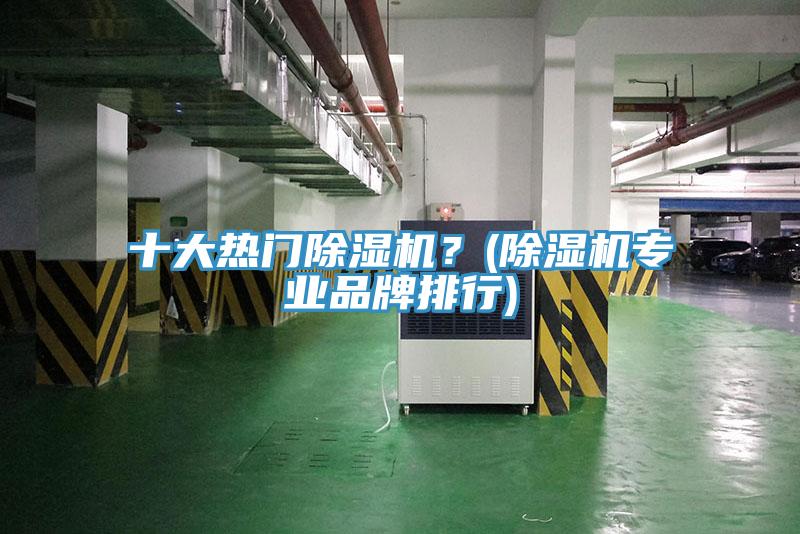 十大熱門除濕機(jī)？(除濕機(jī)專業(yè)品牌排行)