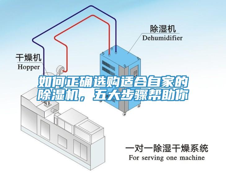 如何正確選購(gòu)適合自家的除濕機(jī)，五大步驟幫助你