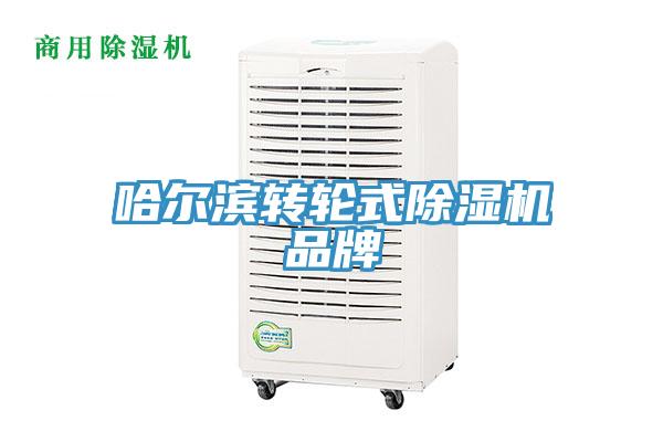 哈爾濱轉(zhuǎn)輪式除濕機(jī)品牌
