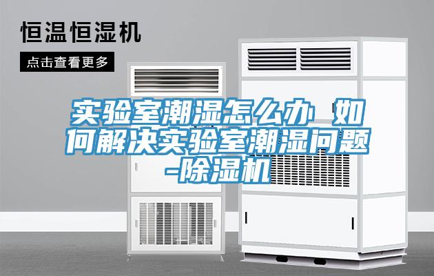 實(shí)驗(yàn)室潮濕怎么辦 如何解決實(shí)驗(yàn)室潮濕問題-除濕機(jī)