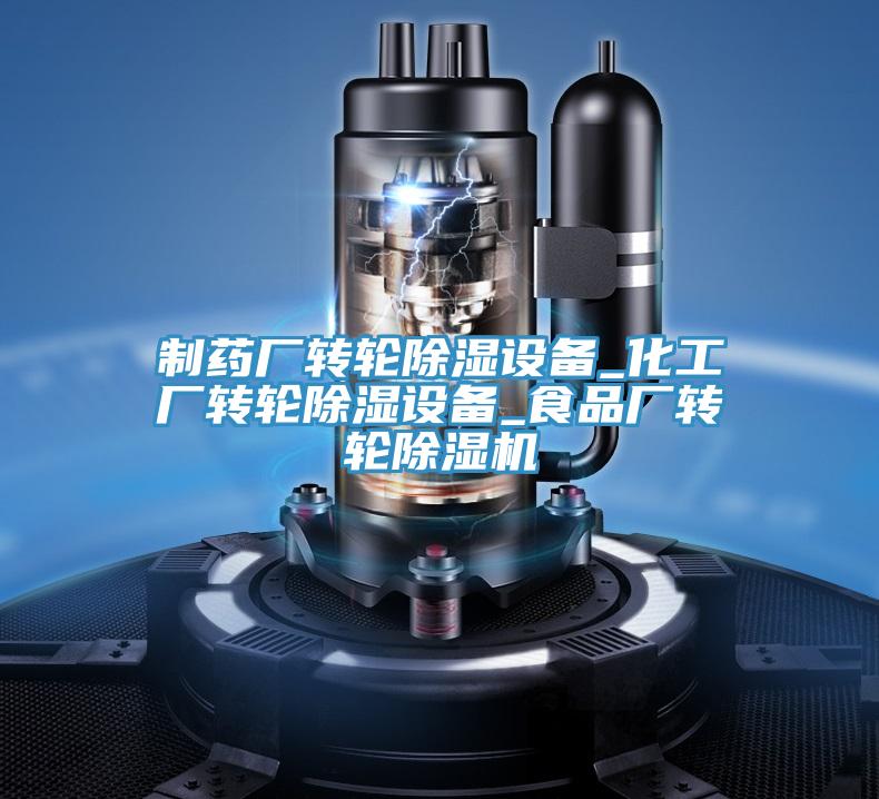 制藥廠轉(zhuǎn)輪除濕設(shè)備_化工廠轉(zhuǎn)輪除濕設(shè)備_食品廠轉(zhuǎn)輪除濕機(jī)