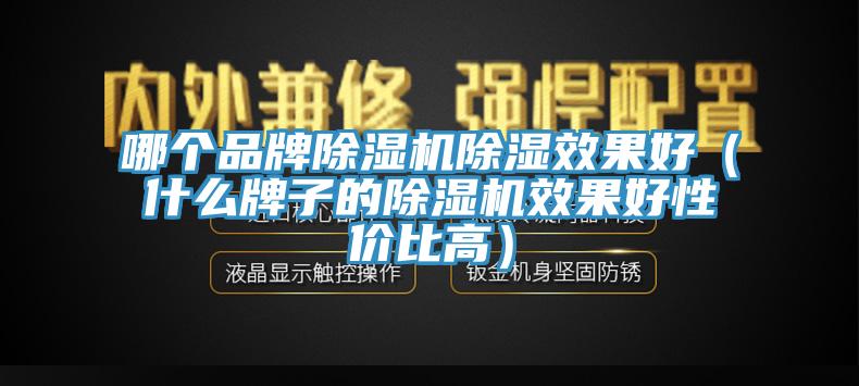 哪個品牌除濕機(jī)除濕效果好（什么牌子的除濕機(jī)效果好性價比高）