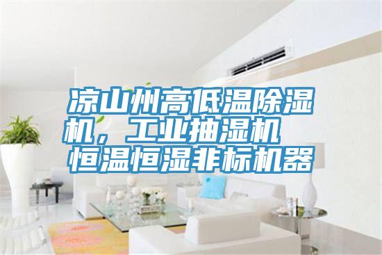 涼山州高低溫除濕機(jī)，工業(yè)抽濕機(jī)  恒溫恒濕非標(biāo)機(jī)器