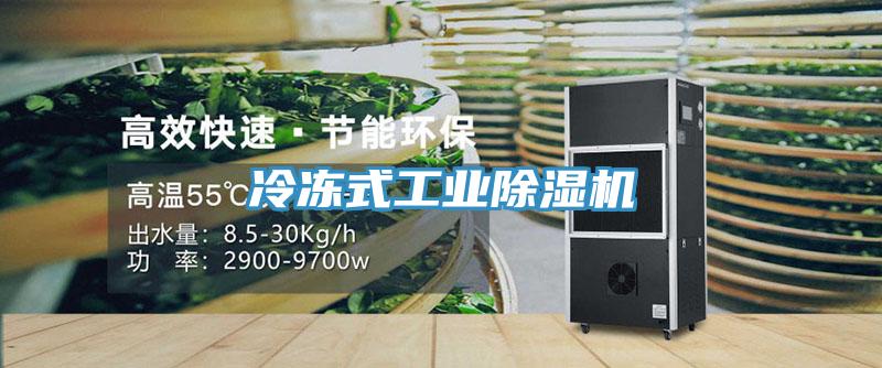 冷凍式工業(yè)除濕機(jī)