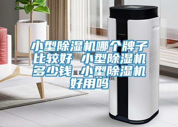 小型除濕機哪個牌子比較好 小型除濕機多少錢 小型除濕機好用嗎