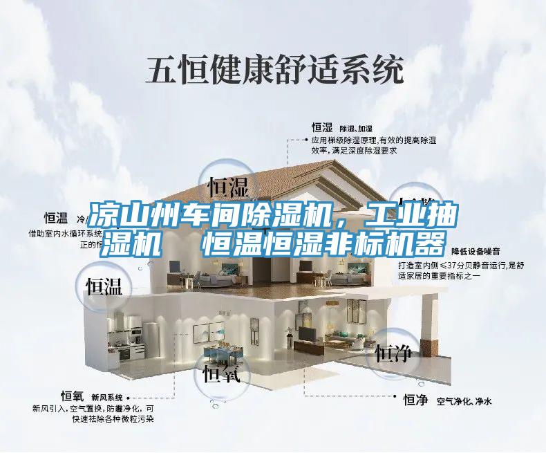 涼山州車間除濕機(jī)，工業(yè)抽濕機(jī)  恒溫恒濕非標(biāo)機(jī)器