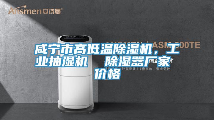 咸寧市高低溫除濕機(jī)，工業(yè)抽濕機(jī)  除濕器廠家 價(jià)格