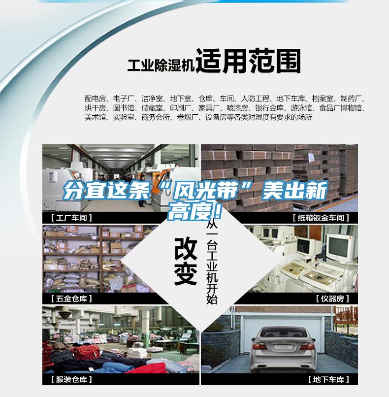 分宜這條“風光帶”美出新高度！