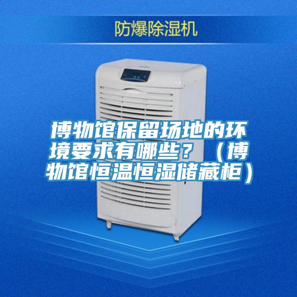 博物館保留場地的環(huán)境要求有哪些？（博物館恒溫恒濕儲藏柜）