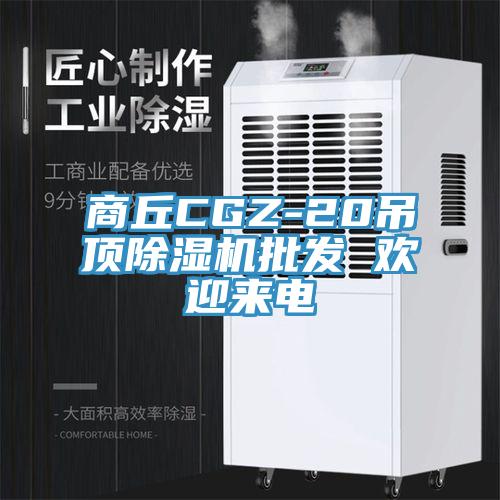 商丘CGZ-20吊頂除濕機(jī)批發(fā) 歡迎來(lái)電