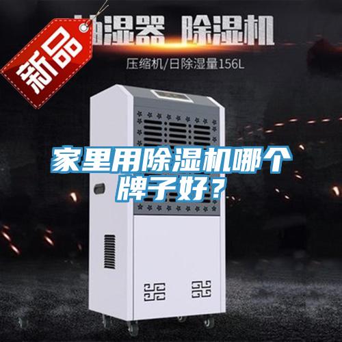家里用除濕機(jī)哪個牌子好？