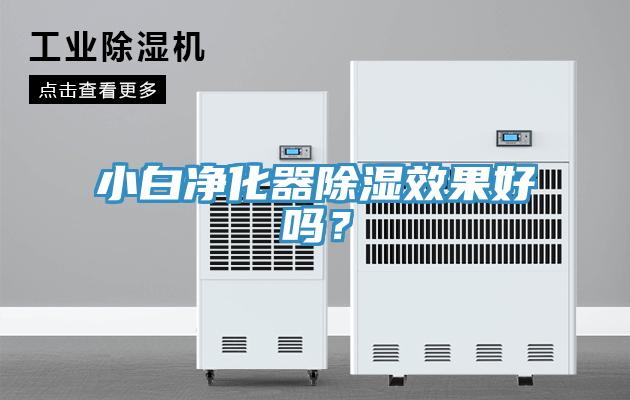 小白凈化器除濕效果好嗎？