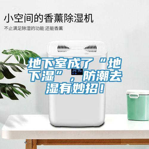 地下室成了“地下濕”，防潮去濕有妙招！