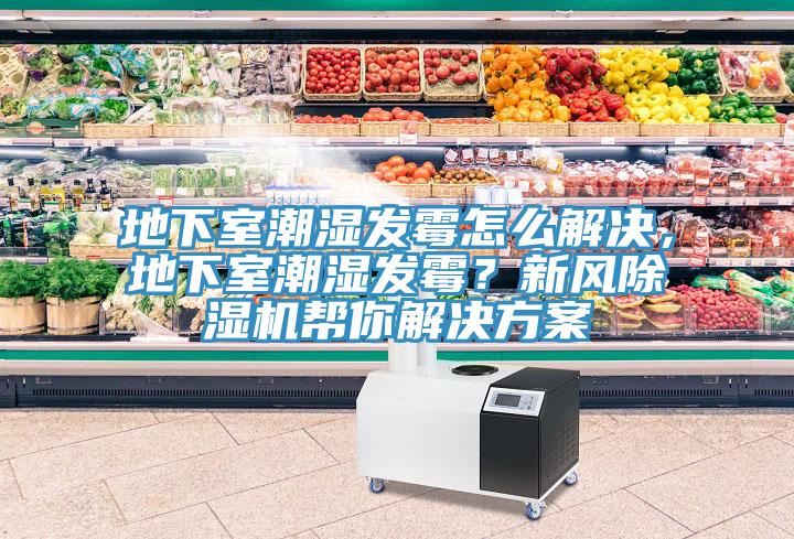 地下室潮濕發(fā)霉怎么解決，地下室潮濕發(fā)霉？新風(fēng)除濕機幫你解決方案