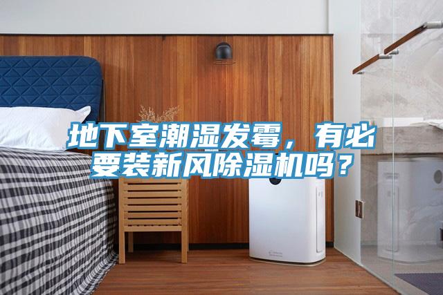 地下室潮濕發(fā)霉，有必要裝新風(fēng)除濕機嗎？