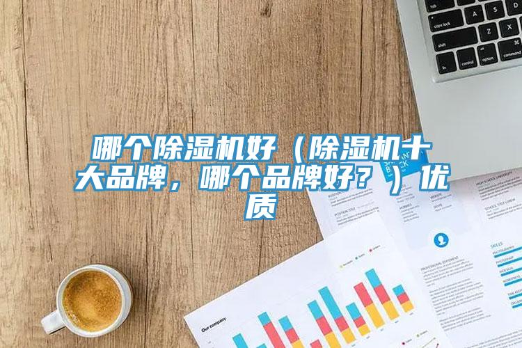 哪個除濕機(jī)好（除濕機(jī)十大品牌，哪個品牌好？）優(yōu)質(zhì)