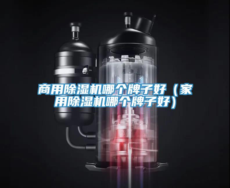 商用除濕機哪個牌子好（家用除濕機哪個牌子好）