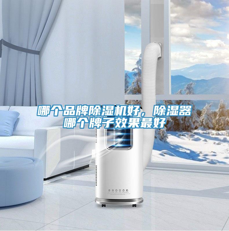 哪個品牌除濕機(jī)好，除濕器哪個牌子效果最好