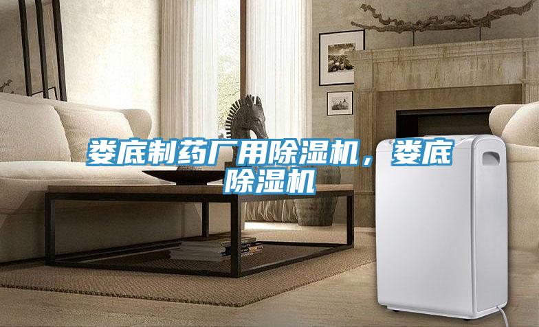 婁底制藥廠用除濕機，婁底除濕機