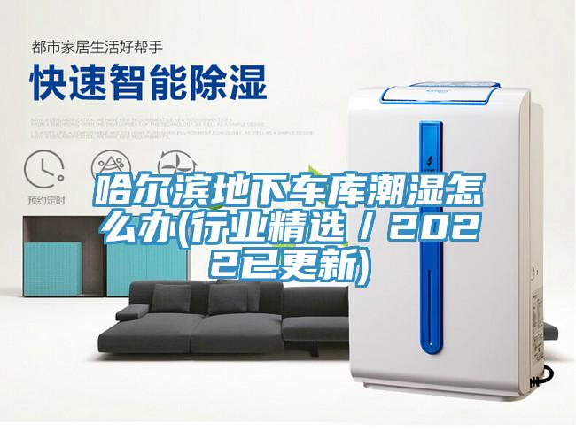 哈爾濱地下車庫潮濕怎么辦(行業(yè)精選／2022已更新)