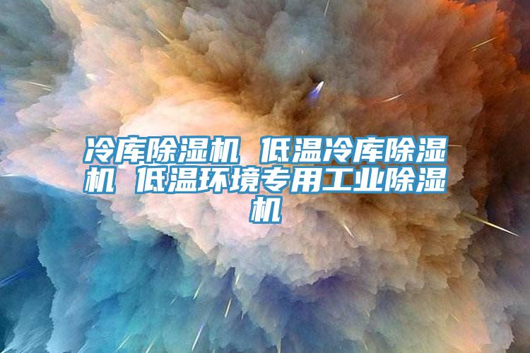 冷庫除濕機(jī) 低溫冷庫除濕機(jī) 低溫環(huán)境專用工業(yè)除濕機(jī)