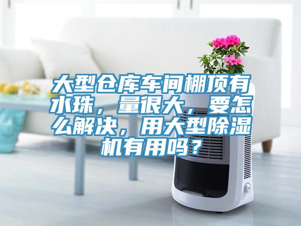 大型倉庫車間棚頂有水珠，量很大，要怎么解決，用大型除濕機有用嗎？