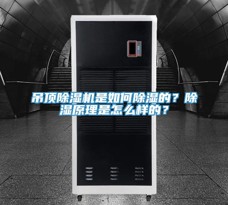 吊頂除濕機(jī)是如何除濕的？除濕原理是怎么樣的？