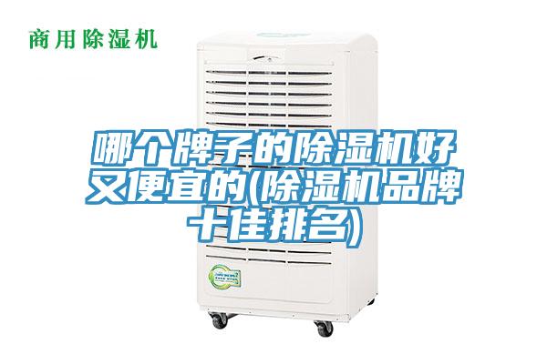 哪個牌子的除濕機(jī)好又便宜的(除濕機(jī)品牌十佳排名)