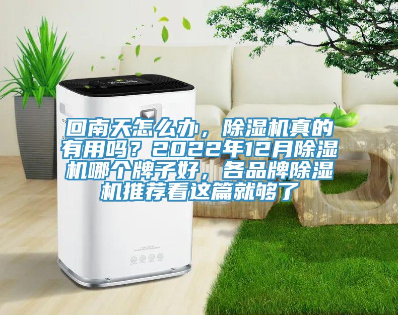 回南天怎么辦，除濕機(jī)真的有用嗎？2022年12月除濕機(jī)哪個牌子好，各品牌除濕機(jī)推薦看這篇就夠了