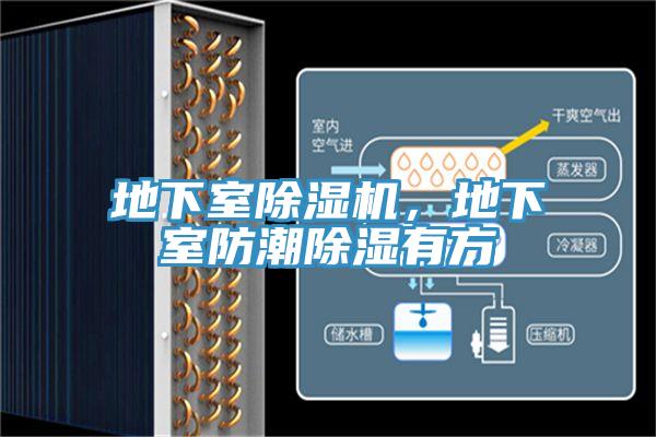 地下室除濕機，地下室防潮除濕有方
