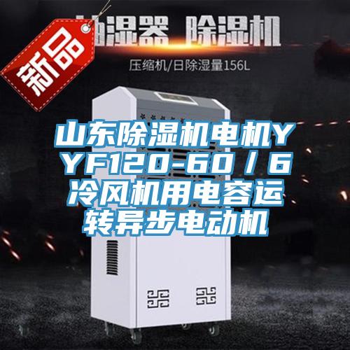山東除濕機電機YYF120-60／6冷風(fēng)機用電容運轉(zhuǎn)異步電動機