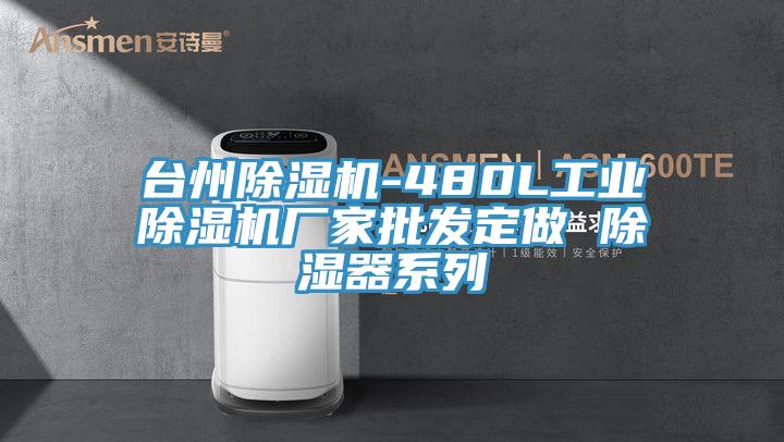 臺州除濕機(jī)-480L工業(yè)除濕機(jī)廠家批發(fā)定做 除濕器系列