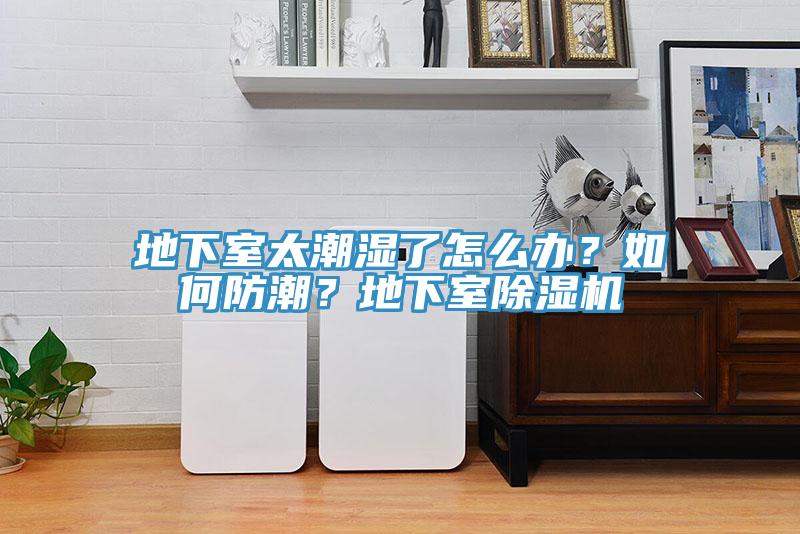 地下室太潮濕了怎么辦？如何防潮？地下室除濕機(jī)