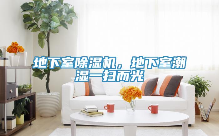 地下室除濕機，地下室潮濕一掃而光