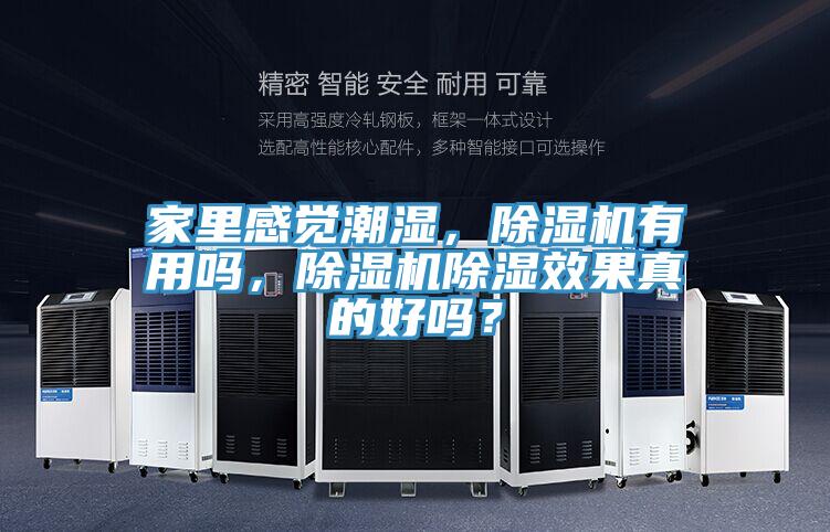 家里感覺潮濕，除濕機(jī)有用嗎，除濕機(jī)除濕效果真的好嗎？