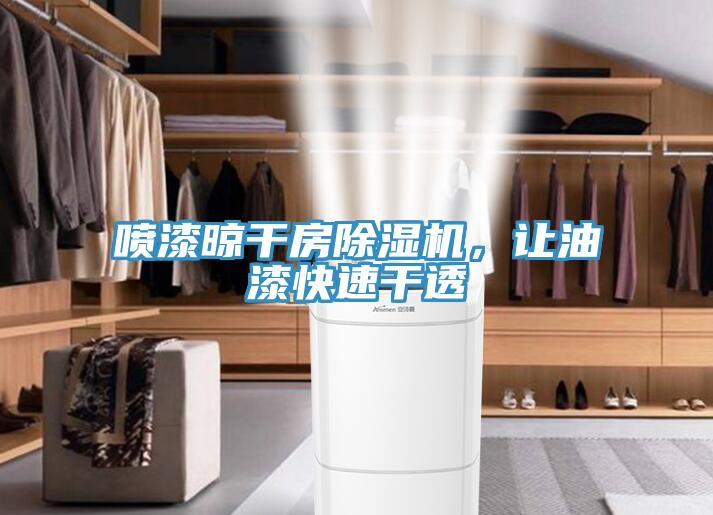 噴漆晾干房除濕機(jī)，讓油漆快速干透