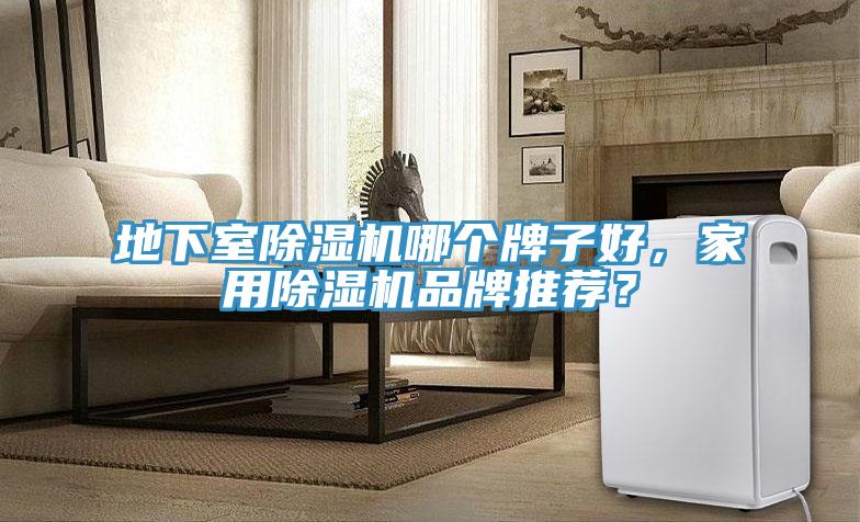 地下室除濕機哪個牌子好，家用除濕機品牌推薦？