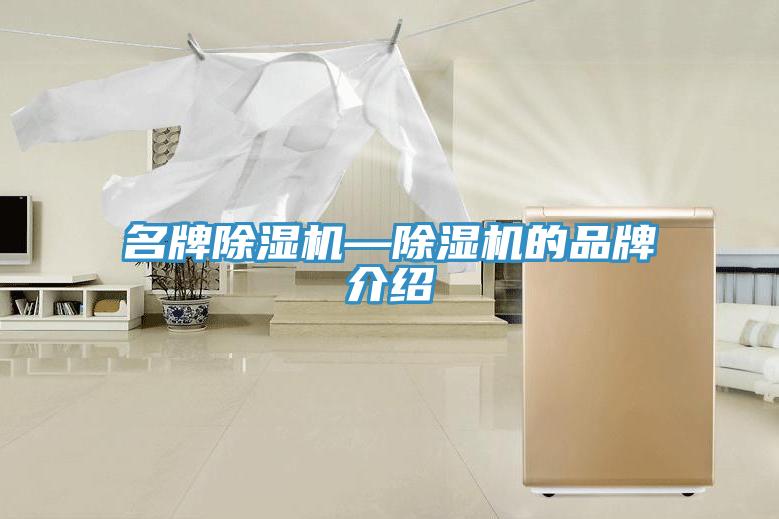 名牌除濕機(jī)—除濕機(jī)的品牌介紹