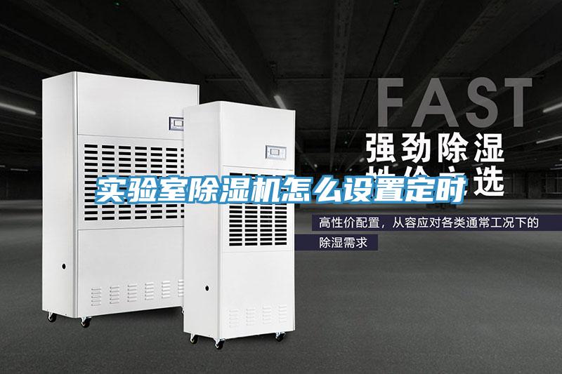 實驗室除濕機怎么設(shè)置定時