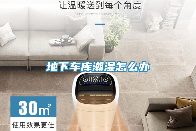 地下車(chē)庫(kù)潮濕怎么辦