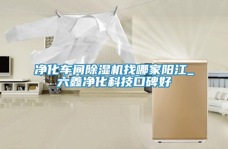 凈化車間除濕機(jī)找哪家陽江_六鑫凈化科技口碑好
