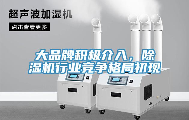 大品牌積極介入，除濕機(jī)行業(yè)競爭格局初現(xiàn)