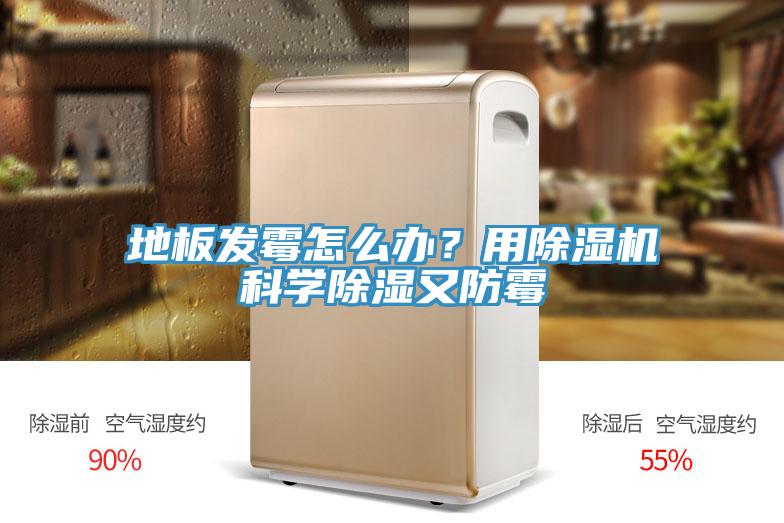 地板發(fā)霉怎么辦？用除濕機科學除濕又防霉