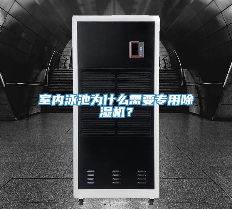 室內(nèi)泳池為什么需要專用除濕機？