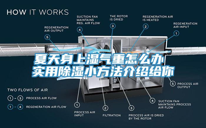 夏天身上濕氣重怎么辦 實(shí)用除濕小方法介紹給你