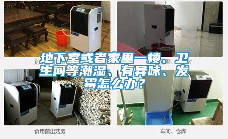 地下室或者家里一樓、衛(wèi)生間等潮濕、有異味、發(fā)霉怎么辦？