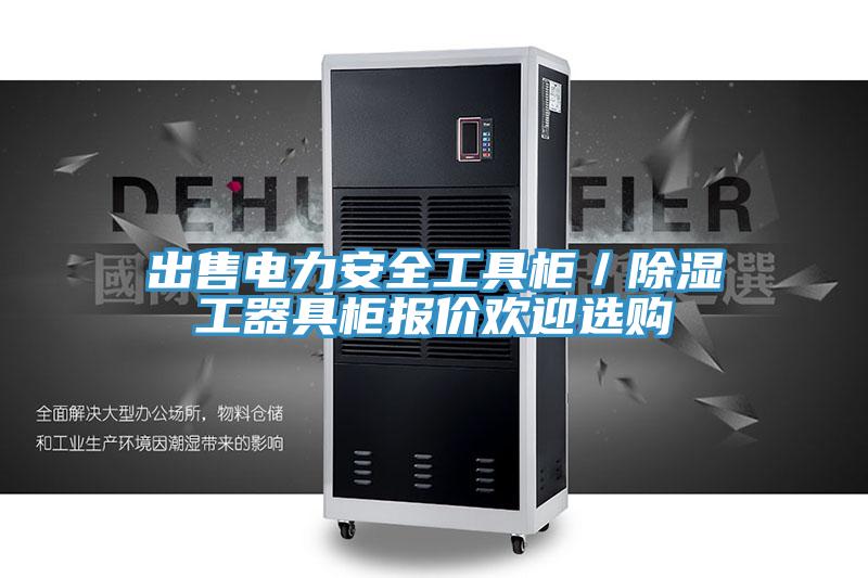 出售電力安全工具柜／除濕工器具柜報(bào)價(jià)歡迎選購